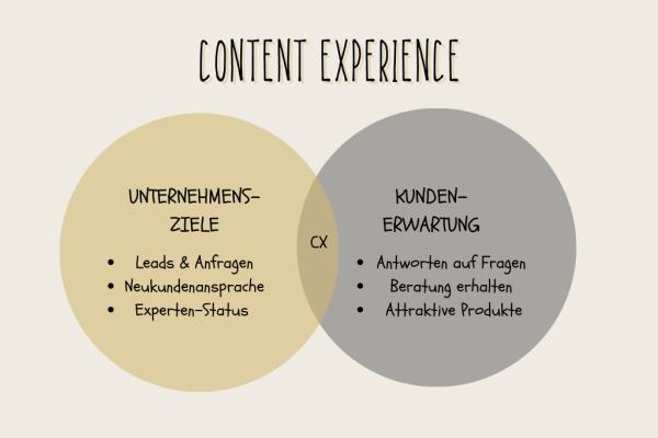 Grafik zeigt Faktoren für gute Content Experience.